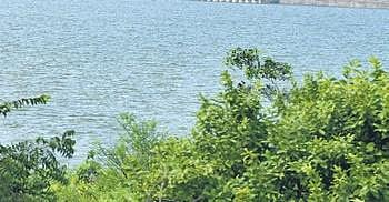 Despite calls from voluntary organisations like Save Our Urban Lakes (SOUL) and directives from the National Green Tribunal, concrete steps to protect and conserve these lakes have not been taken.