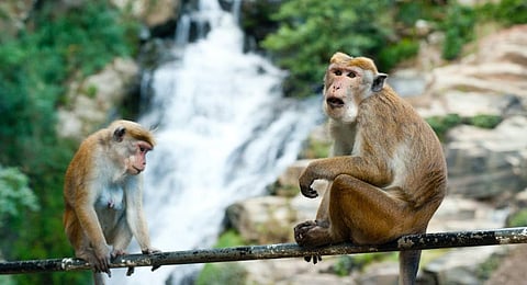 Image used for representation.(Photo | Pexels)