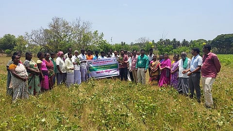 KVK experts, officials and farmers celebrating the field day on the success of pulse crop cultivation in Pandaravadai village in Karaikal