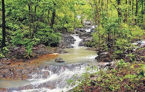 Image used for representative purposes only. (File Photo | Express)