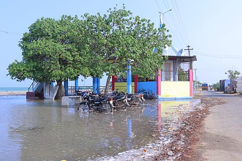 Thalamuthunagar coastal hamlets were breached by seawater. (Photo | Express)