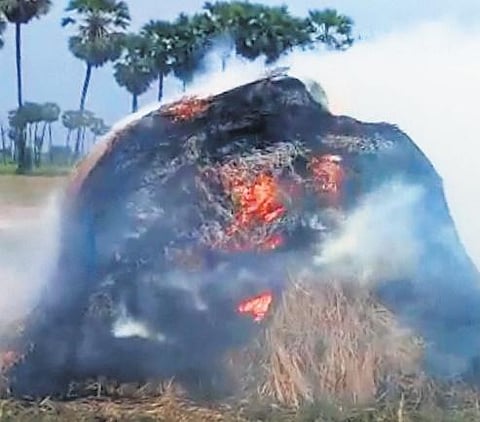 A paddy heap gutted due to lightning in Krishna district I Express