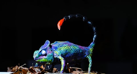 Yogi Vemana University's Kaladarshan gallery in AP, a happening place for artists