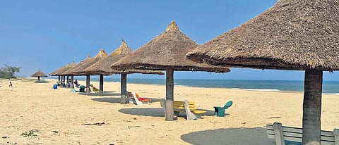 TTDC builds structures on estuary without CRZ clearance, coastal body seeks action