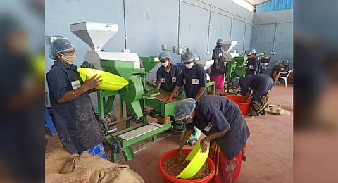 Apart from cooking oil, Cottage Private Limited markets products like pulses, soaps. (Photo | Express)