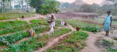 Chumbru Tamsoy and his daughter-in-law Charima Tamsoy.