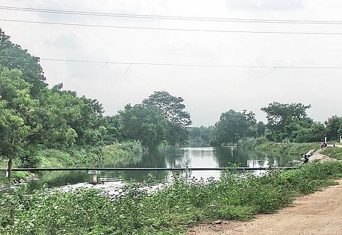 Lower Bhavani Project (LBP) canal. Image used for representational purpose (Photo | Wikimedia Commons)