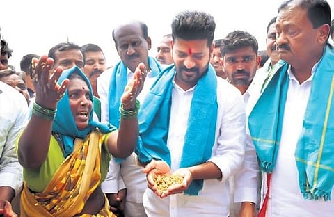 TPCC chief A Revanth Reddy  checks  the paddy that was damaged in rains in Pondurthy village of Kamareddy district on Wednesday.