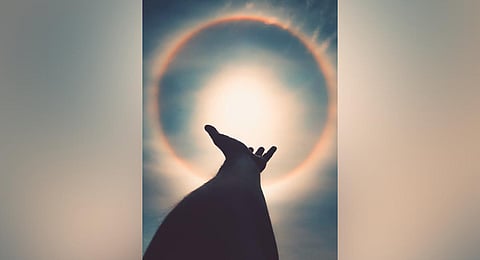 Image used for representational purposes only (Photo | Pexels)