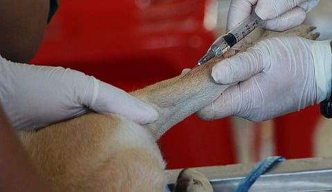 Image used for representational purpose only. (File Photo)