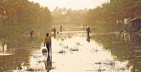 People fishing at Pallikathode, where water has receded
