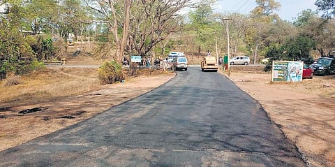 Oscar effect: Theppakadu elephant camp spruced up ahead of PM’s visit