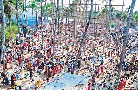 Devotees offering pongala at Karikkakom Sree Chamundi Devi temple on Sunday