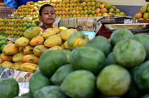 Photo | Shashidhar Byrappa