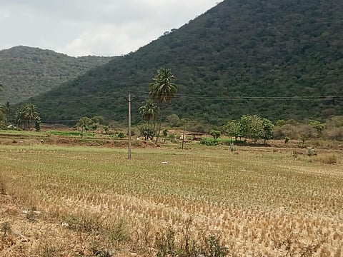 Land used by the Moolakadu villagers in Thuraiyur taluk to bury their dead. (Photo | Express)
