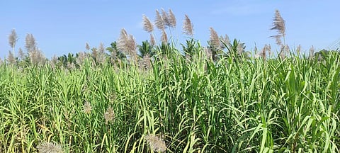 Image used for representational purpose only.