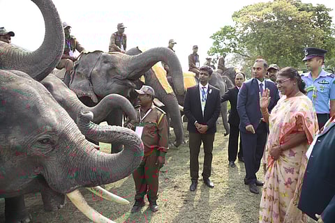 President Droupadi Murmu inaugurated Gaj Utsav-2023 at the Kaziranga National Park. (Photo | President of India twitter)
