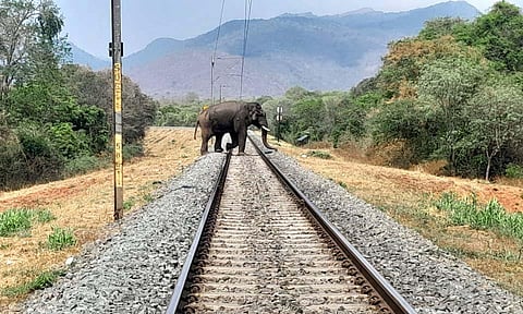 Image for representational purpose. (Photo | Express)