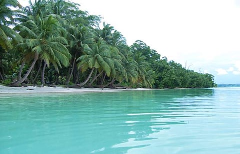 Experts puzzled over National Green Tribunal's order on Andaman and Nicobar infrastructure projects