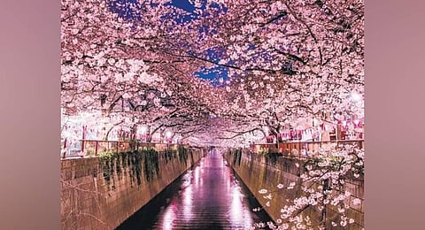 Image used for representational purpose only.