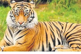 Image used for representational purpose only. (File Photo)