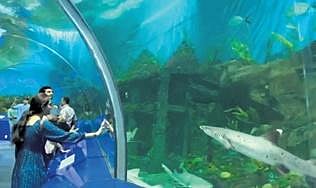 Representational image of an Aqua Marine Park that will come up on DBFOT basis in the Ecopark at Kothwalguda, near Himayatsagar