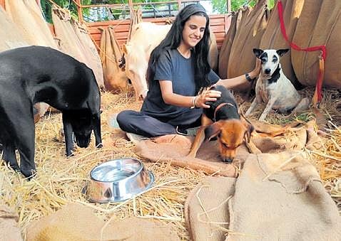 Police and PETA personnel rescued the animals  from the circus stationed at Iruppu in Neyveli | Express