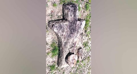 rare human-shaped menhir (standing stone) dating back to the Megalithic era was discovered in the Suddhagutta area of Motlagudem village, located in Mangapet Mandal.