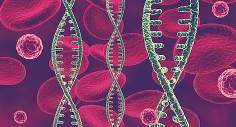 Hereditary angioedema:  A family affair