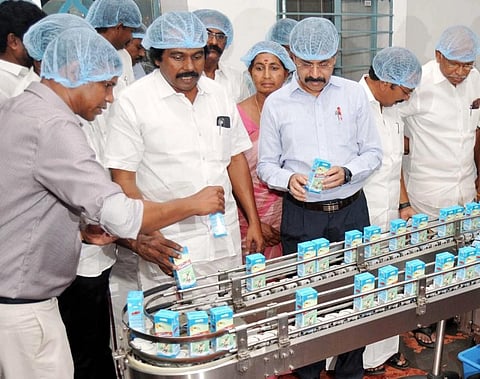 Milk and Dairy Development Minister T Mano Thangaraj on Wednesday said that the scheme to distribute two lakh dairy cattle will be launched soon to increase milk production in the state.