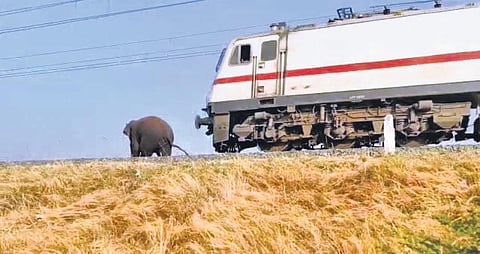 Image used for representational purpose only.