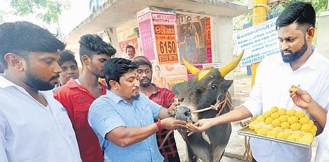Youth distributing sweets in Madurai to celebrate the verdict | KK SUNDAR