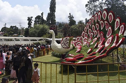 A total of over five lakh flower plants of 325 varieties, including foreign imports have been kept on display.