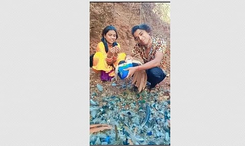 Peacock tortured on camera. (Photo | EPS)