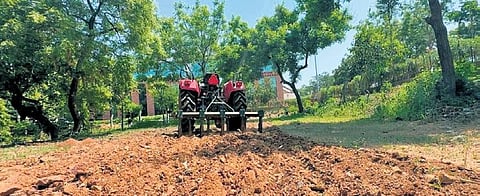 Image used for representational purposes