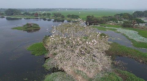 Image used for representational purposes