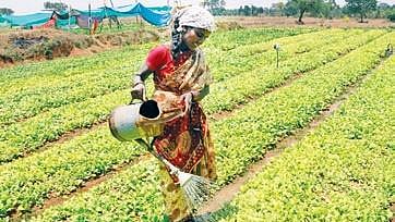 Image used for representational purposes only