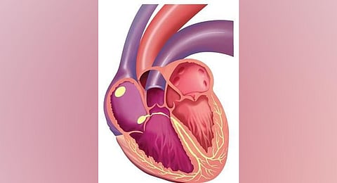 Image used for representational purpose only. (Express Illustrations)