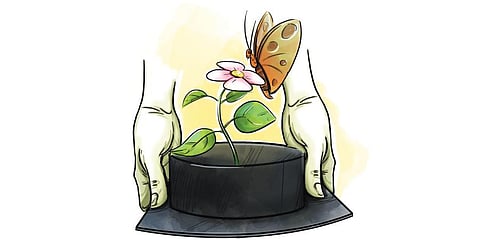 Image used for illustrative purposes only. (Express Illustrations)