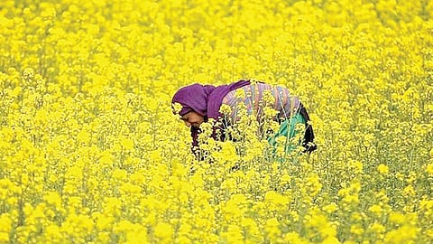 Image used for representational purposes only.