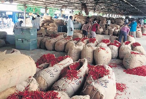 The pace of business reduced at Guntur mirchi yard due to continuous rains I Express