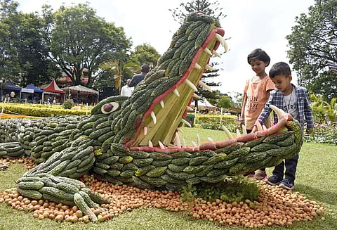 Marking the beginning of the summer festival in Tamil Nadu's Nilgiris, Tourism Minister K Ramachandran along with the Nilgiris MP A Raja inaugurated the 12th annual vegetables show organised by the Horticulture department on May 6, 2023. (Photo | S Senbagapandiyan, EPS)