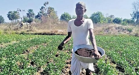 In these tribal villages, dung is as good as gold