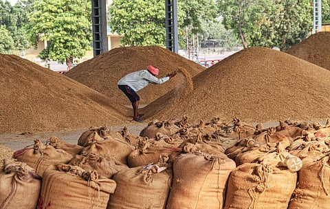 FILE - A photo of a worker sorting grains at a mandi, used for representative purposes only. (Photo | PTI)