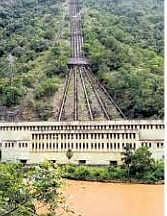 Geddai plant in Nilgiris | File Picture