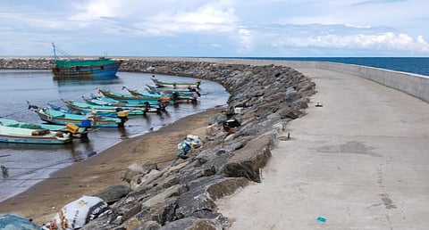 Image of a harbour used for representational purposes
