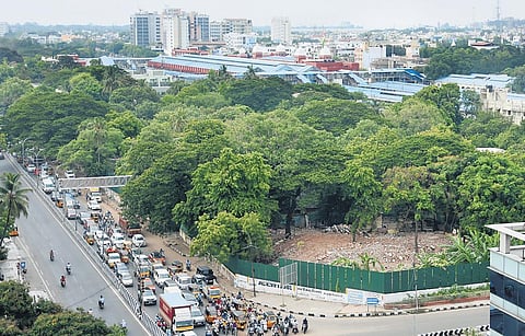 Around 300 trees will be affected by the redevelopment project at Egmore | Express