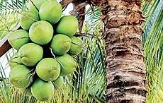 For representational purposes