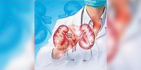 Image used for representational purpose