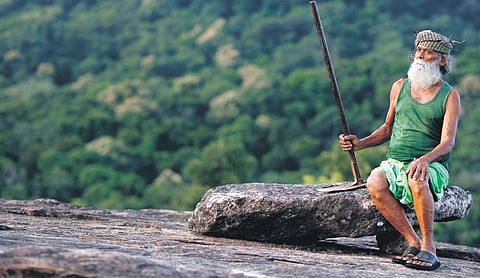 The 37-minute-long documentary narrates the life of Kallur Balan, affectionately known as ‘Green Man’, who resides in Kallur in Palakkad district.
